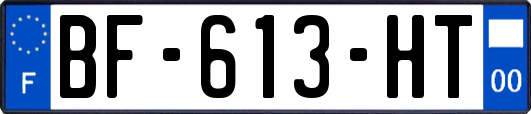 BF-613-HT
