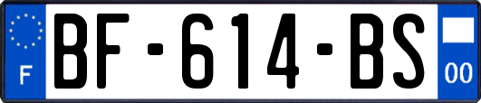 BF-614-BS