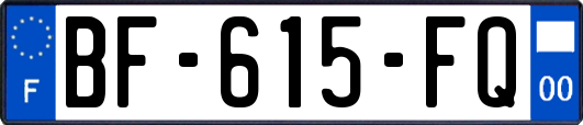 BF-615-FQ