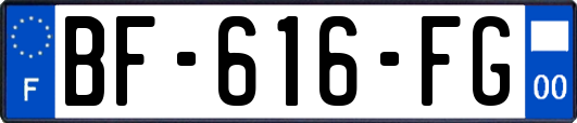 BF-616-FG