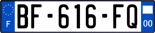 BF-616-FQ