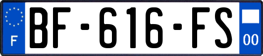 BF-616-FS