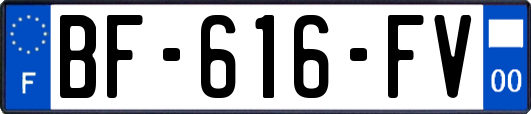BF-616-FV