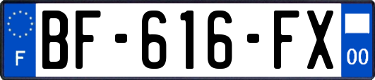 BF-616-FX