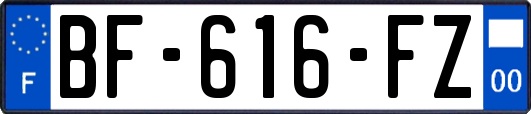 BF-616-FZ