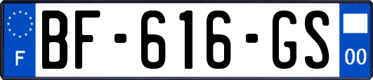 BF-616-GS