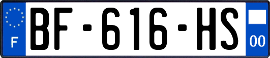 BF-616-HS