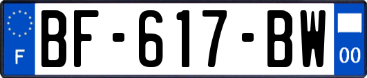 BF-617-BW
