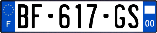 BF-617-GS