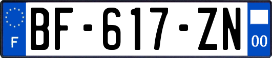 BF-617-ZN