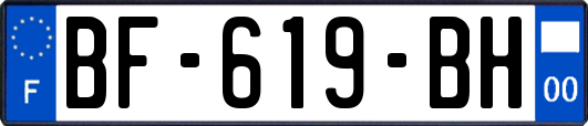 BF-619-BH