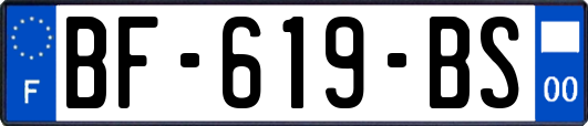 BF-619-BS