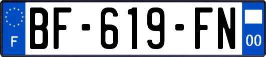 BF-619-FN