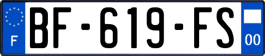 BF-619-FS