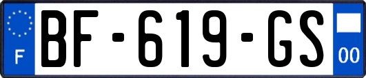 BF-619-GS