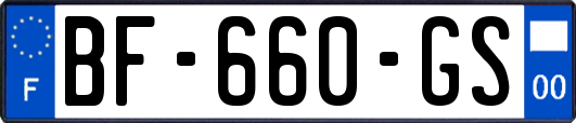 BF-660-GS