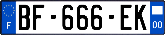 BF-666-EK