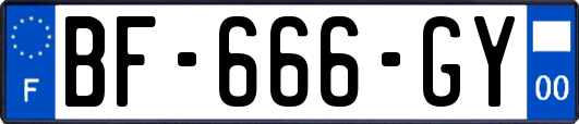 BF-666-GY