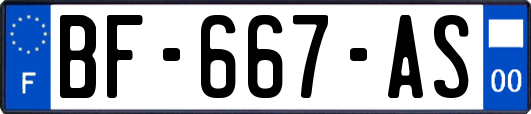 BF-667-AS