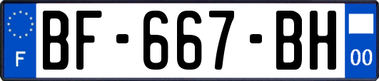 BF-667-BH