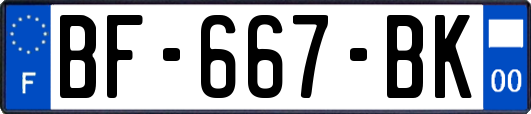 BF-667-BK