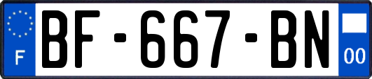 BF-667-BN