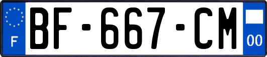 BF-667-CM