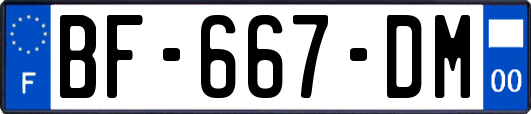 BF-667-DM