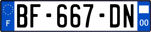BF-667-DN