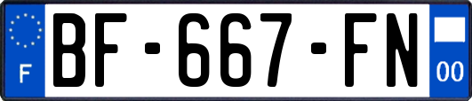 BF-667-FN