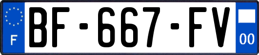 BF-667-FV