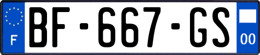 BF-667-GS