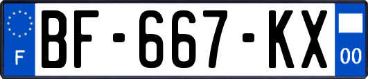 BF-667-KX