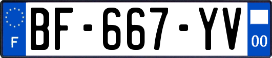 BF-667-YV