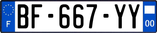 BF-667-YY