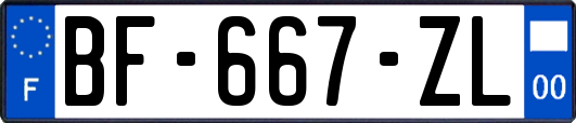 BF-667-ZL