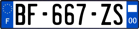 BF-667-ZS