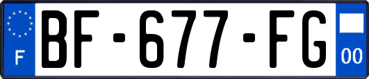 BF-677-FG