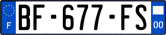 BF-677-FS