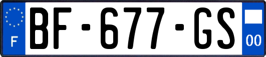 BF-677-GS