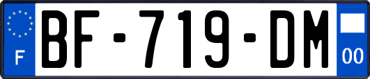 BF-719-DM