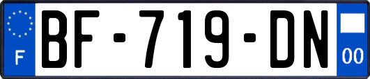 BF-719-DN