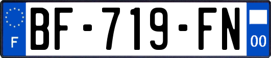BF-719-FN