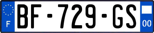 BF-729-GS