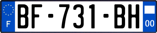 BF-731-BH