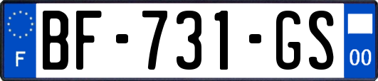 BF-731-GS