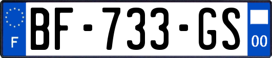 BF-733-GS