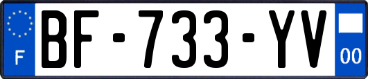 BF-733-YV