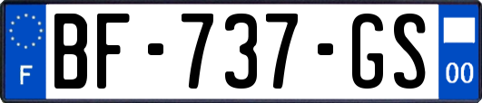 BF-737-GS