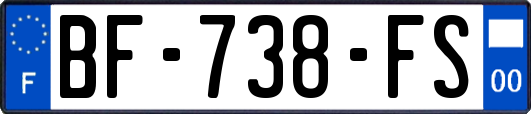 BF-738-FS